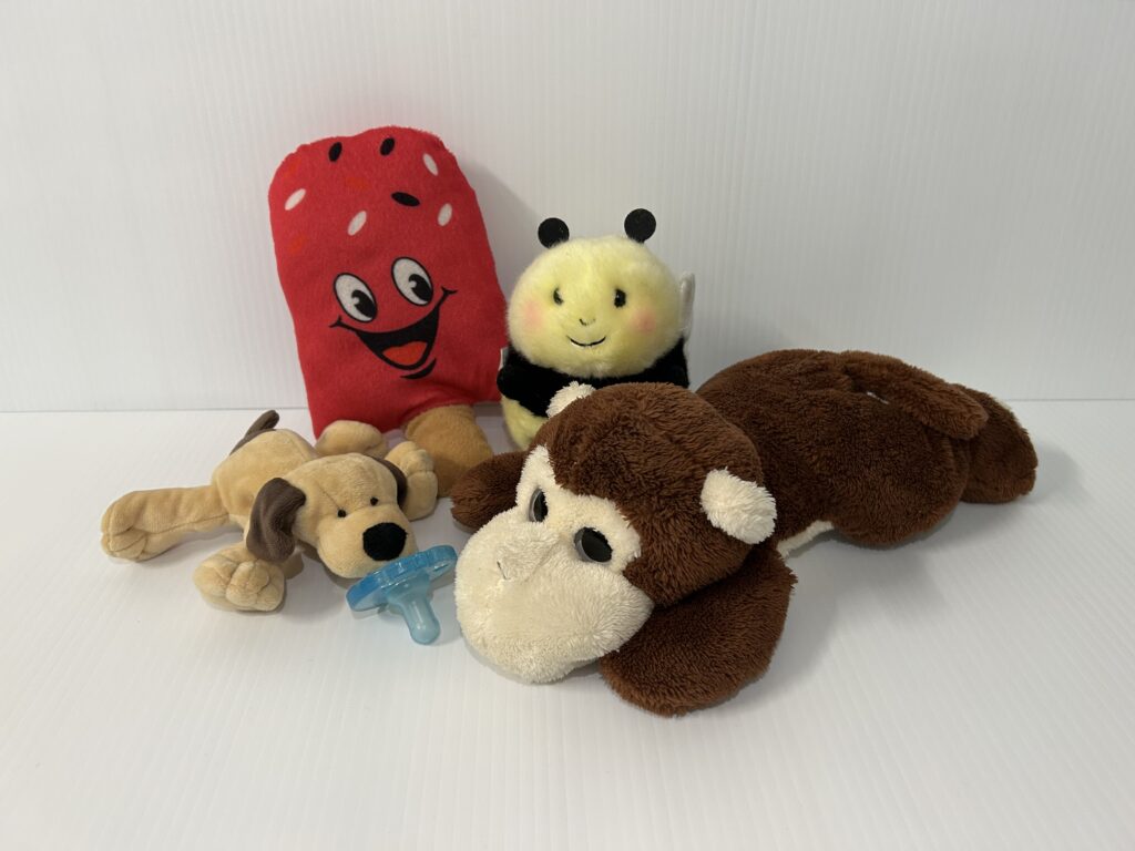 four lost stuffies from the Teddy Bears' Picnic